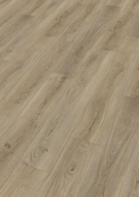 Moderna V-Solid SPC / 002 Wellington oak
