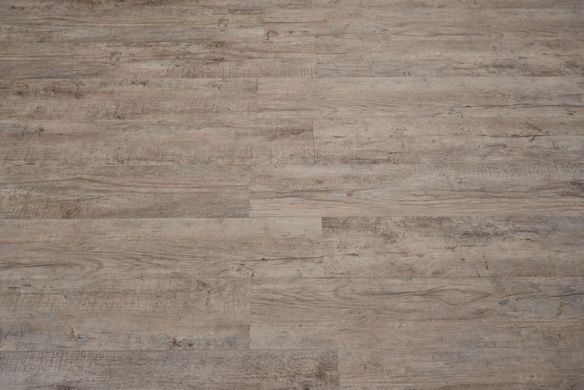 Vinilam 2,5 mm. / 66777 Дуб Росток