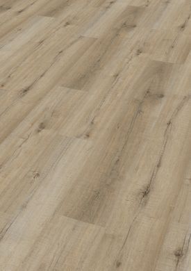 Moderna V-Solid Pro SPC / 005 Tekapo oak